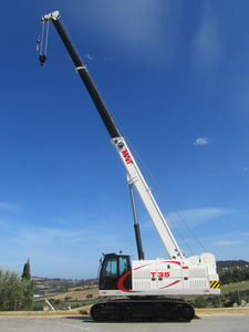 grue sur chenilles