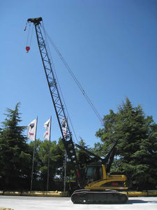 grue sur chenilles 1