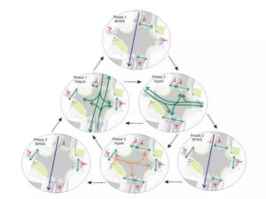 solution logicielle d'analyse de données