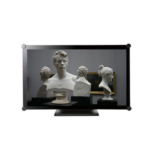 moniteur LCD 1