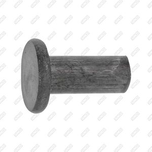 rivet à tête plate