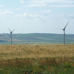 parc éolien à turbine