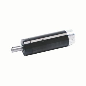 moteur pneumatique à palettes