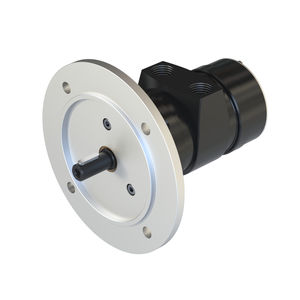 moteur pneumatique à palettes