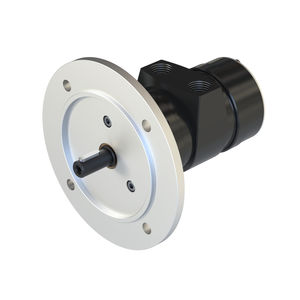 moteur pneumatique à palettes
