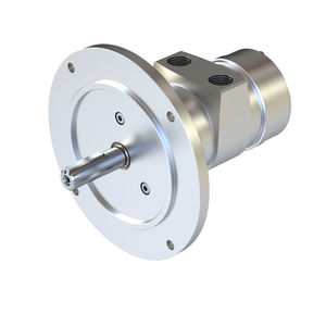 moteur pneumatique à palettes