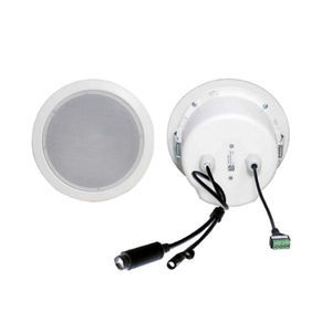 haut-parleur de plafond 1