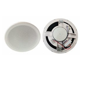 haut-parleur de plafond 1