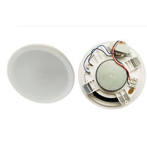 haut-parleur de plafond 1