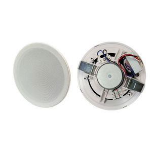 haut-parleur de plafond 1