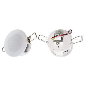 haut-parleur de plafond 1