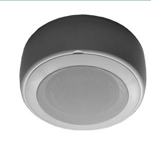 haut-parleur de plafond 1