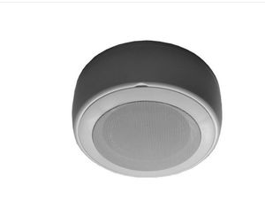 haut-parleur de plafond 1