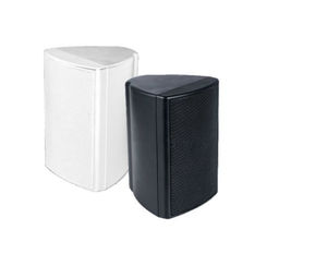 haut-parleur de plafond 1