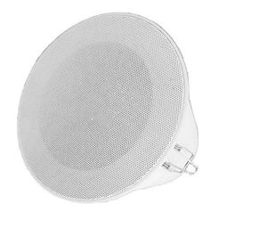 haut-parleur de plafond 1