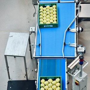 Ligne de tri et d'alimentation