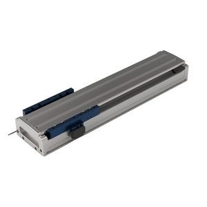module linéaire guidé