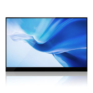 moniteur IPS LCD 1