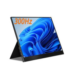 moniteur IPS LCD 1