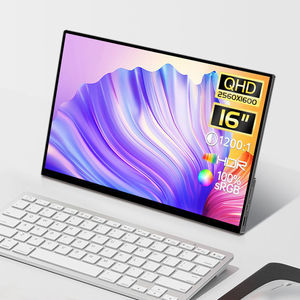 moniteur IPS LCD 1