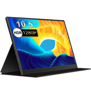 moniteur IPS LCD 1