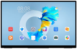 moniteur LCD 1