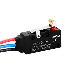 micro-rupteur à levier 1