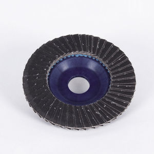 disque abrasif en carbure de silicium 1