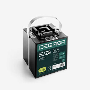 batterie zinc air alcalin