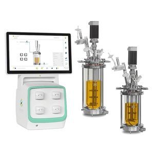 bioréacteur / fermenteur en fed-batch 1