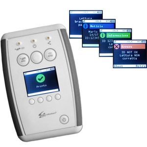 système RFID portable