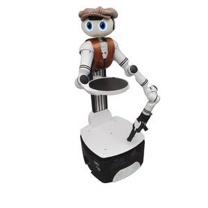 robot de livraison pour nourriture 1