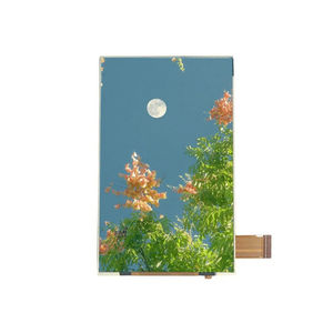 module d'affichage TFT LCD 1