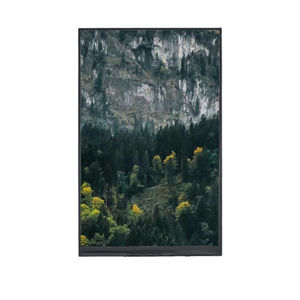 module d'affichage TFT LCD 1
