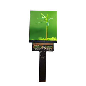 module d'affichage AMOLED