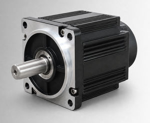 moteur BLDC 1