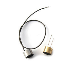 sonde de fréquence 1