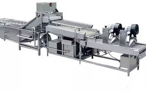 ligne de fabrication de frites