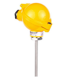 capteur de température RTD 1