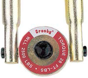 anneau de levage articulé