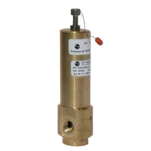 soupape de sécurité à gaz