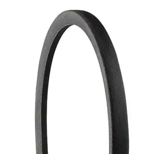 Courroie Convoyeur Timken B249SA Super Arc - Lot De 2, Neuves