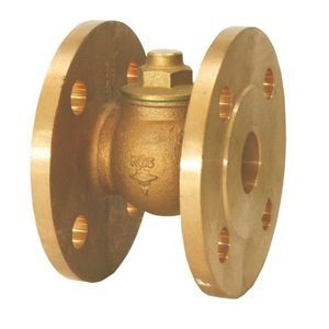 clapet anti-retour à piston 1