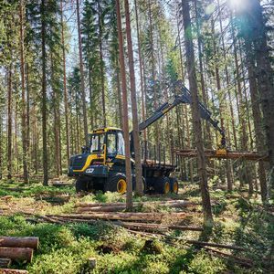 porteur forestier 1