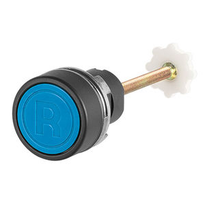 bouton poussoir avec reset 1