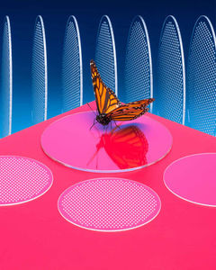 transporteur de wafers