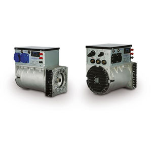 alternateur monophasé / brushless / 2 pôles / pour générateur