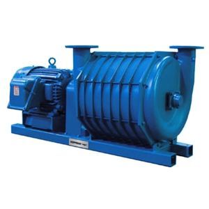 pompe à vide centrifuge 1
