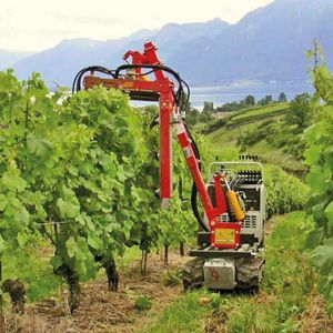 mini-dumper sur chenilles