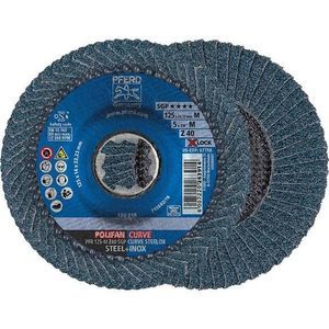 disque à lamelle 1